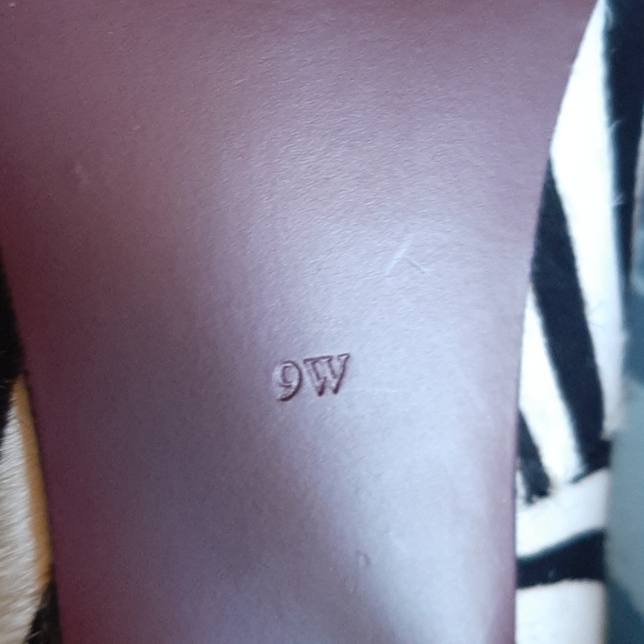 Type Z Zebra Print Pumps - Picture 6 of 10